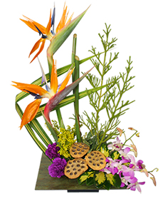 Category Image
