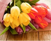Tulip Mania Crazy tulips,  spring tulip and  Iris bouquets