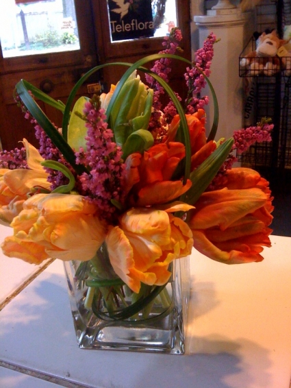 Parrot Tulips in a glass cube