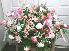 Category Image