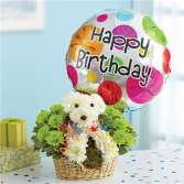 Party Animal™ Arrangement