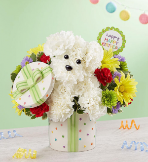 Party Pooch™ in Valley City, OH | HILL HAVEN FLORIST & GREENHOUSE Party Pooch™ in Valley City, OH | HILL HAVEN FLORIST & GREENHOUSE