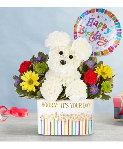 Party Pooch birthday flowers
