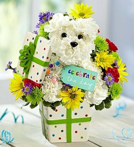 Party Pooch fresh flowers