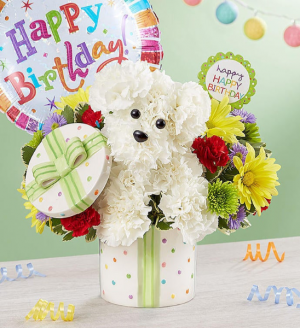 Party Pooch with Balloon From Roma Florist 