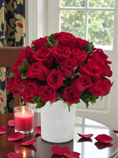 “Pasión Absoluta” Valentine 2026