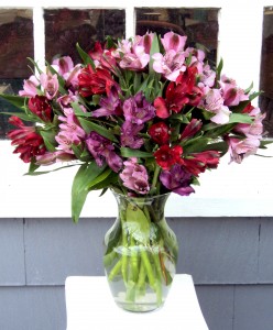 Passion Play Vase Arrangement