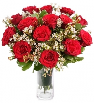 PASSION ROSE ARRANGEMENT in Rockville, MD | GENE'S ROCKVILLE FLORIST PASSION ROSE ARRANGEMENT in Rockville, MD | GENE'S ROCKVILLE FLORIST