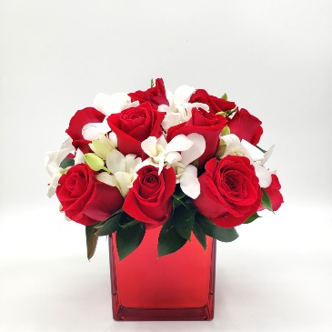 Passionate Kiss. VD24-110 Love Arrangement in San Juan, PR | ELIKONIA FLOWERS