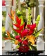 Passionate Paradise Flower Bouquet Tropical Flower Delivery