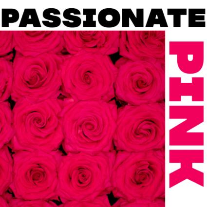 Passionate Pink Dozen(s) Roses Vased Arrangement