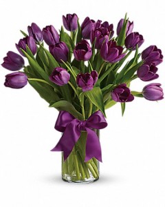 Passionate Purple Tulips ---