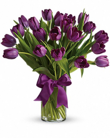 Passion Purple Tulips 
