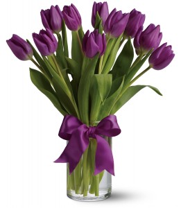 Passionate Purple Tulips H1482A