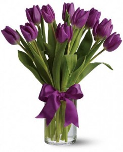 Passionate Purple Tulips (T148-2A)