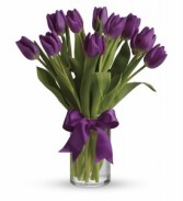 Passionate Purple Tulips Birthday, Mother's Day, Spring