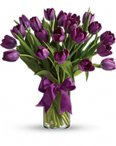 MOM'S Passionate Tulips 