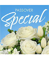 Passover Special Designer's Choice in Friona, Texas | Ivy Cottage Flowers Gifts & Greenhouse