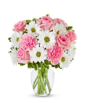 Pastel Daisy & Rose Delight 
