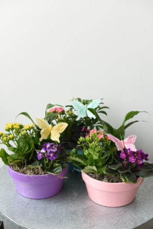 Pastel Dish Garden