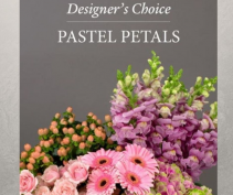 Pastel Flowers Designer's Choice 