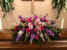 Category Image