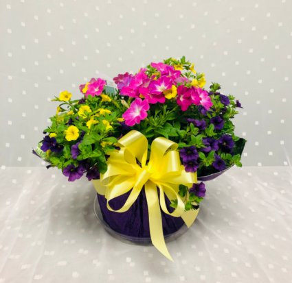 Patio Garden Outdoor Planter