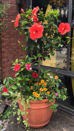 Patio Planter Planter