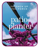 Patio Planter Plants