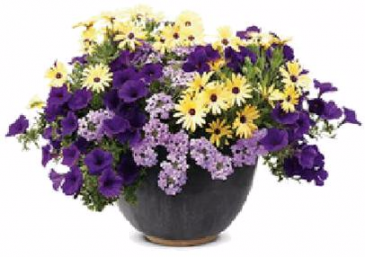 Patio Pot #2 Sun or Shade Pots, request your own...