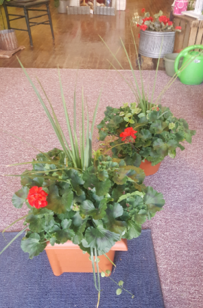 Patio Pot