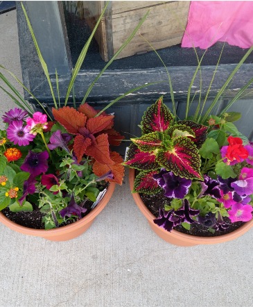 Patio Pot Blooming Planter in Rochelle, IL | COLONIAL FLOWERS AND GIFTS Patio Pot Blooming Planter in Rochelle, IL | COLONIAL FLOWERS AND GIFTS