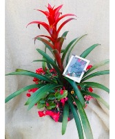 Patio Pot Outdoor Garden Planter