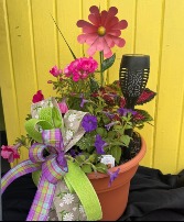 PATIO POT PLANT 