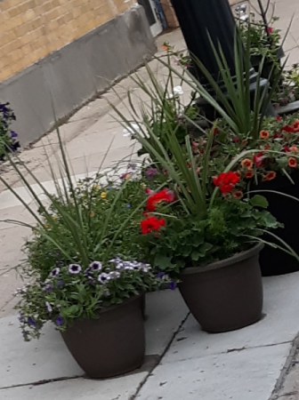 Patio pots