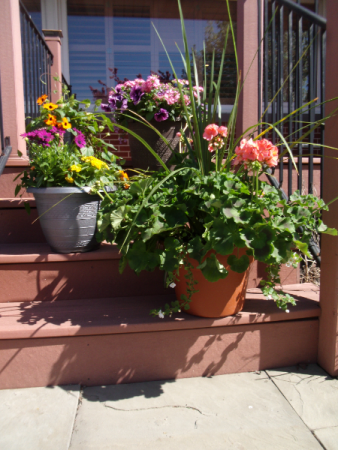 Patio Pots in Delta, OH - Calaways Flowers &amp; Antiques