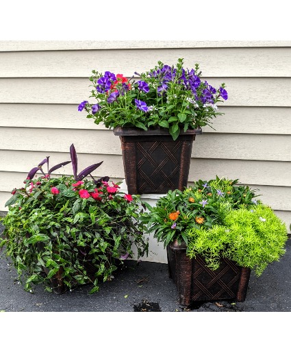 Patio Pots 