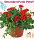 Patio Pots 
