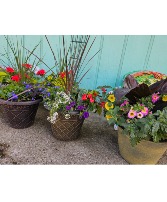 Patio/Porch Summer Annual Planter Patio Planter