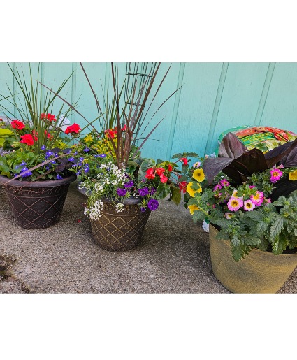 Patio/Porch Summer Annual Planter Patio Planter