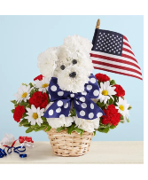 Patriotic Doggie 