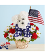 Patriotic Doggie 