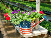 Patriotic Watering Can Annual Planter