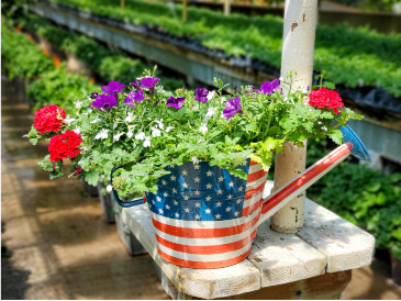 Patriotic Watering Can Annual Planter in Warsaw, IN | ANDERSON FLORIST & GREENHOUSE