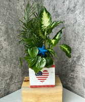 Patriotic Wooden Box Planter 