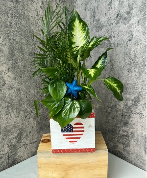 Patriotic Wooden Box Planter 