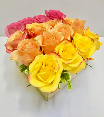 Ombre Collection Your Choice of 4x4 Roses in a Box