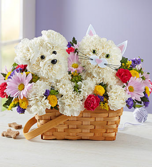 Paw-Some Pals™ in Valley City, OH | HILL HAVEN FLORIST & GREENHOUSE Paw-Some Pals™ in Valley City, OH | HILL HAVEN FLORIST & GREENHOUSE