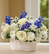Peace and Healing Blue and White Sympathy