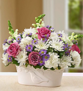 Peace and Healing Sympathy